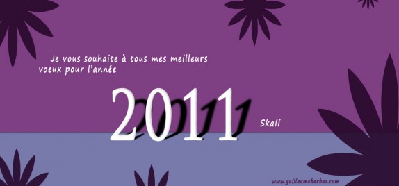 Bonne Année 2011 !!!